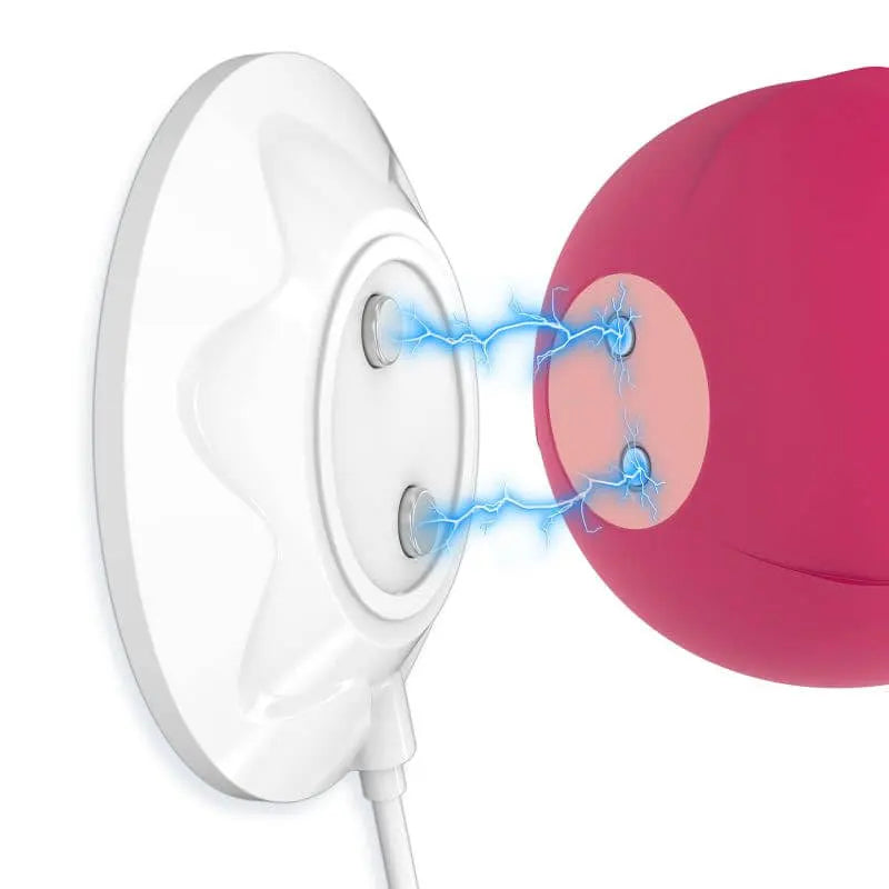 Rose Toy Charger - Magnetic USB Fast Charging Dock