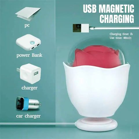 Rose Suck Toy with LED Nightlight