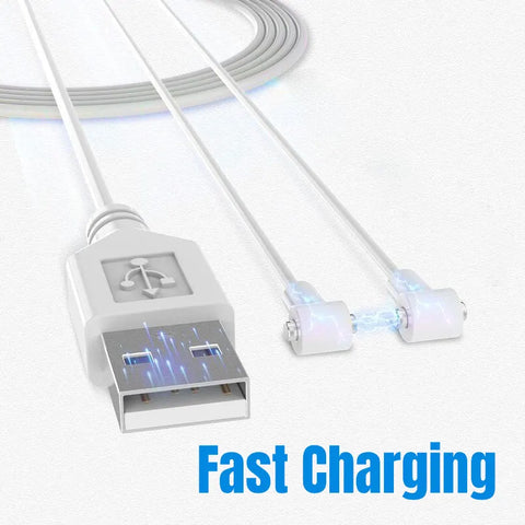 Magnetic Rose Toy Charger - Automatic Electrode Matching