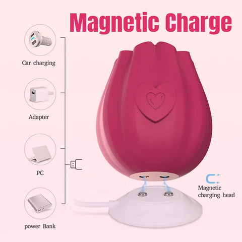 Roseheart Clitoral Suction Pleasure Toy